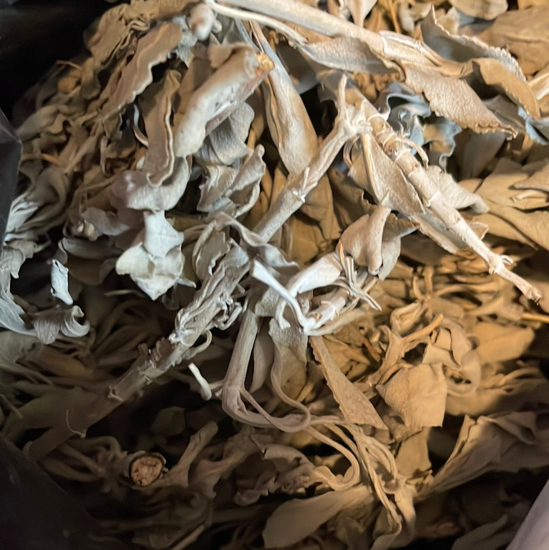 White sage loose .5 oz