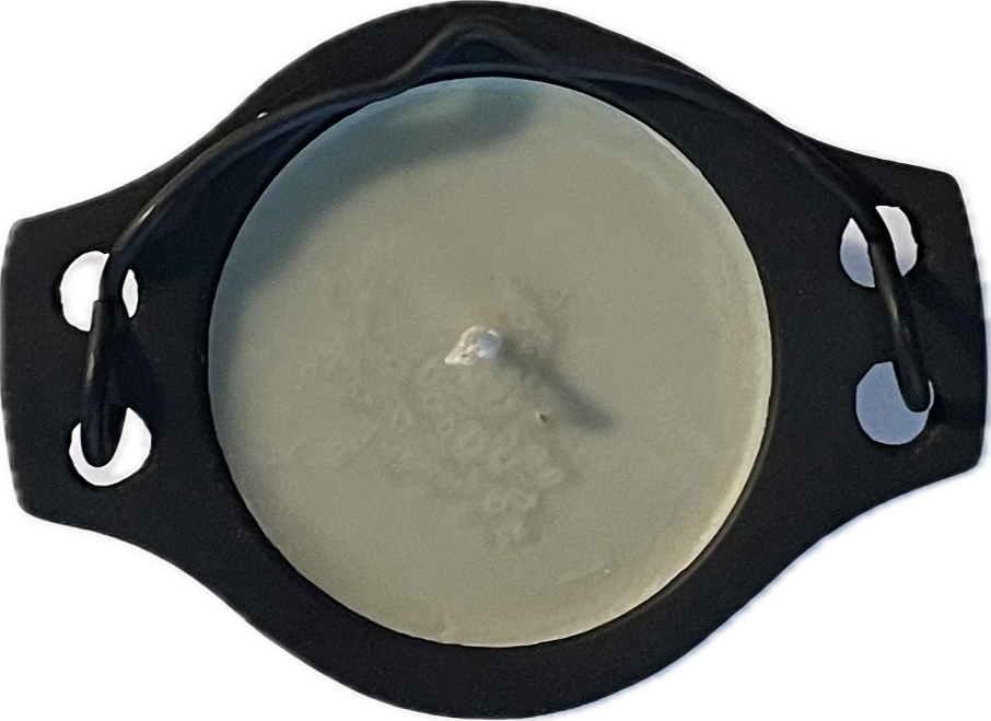 Magic Cauldron Candle - Sage