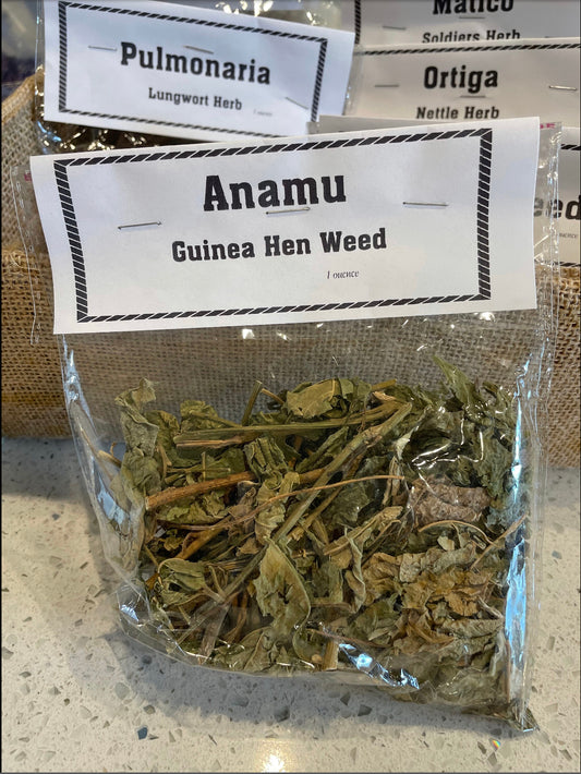 Anamu - Guinea Hen Weed ritual Herbs candle making herbs etc