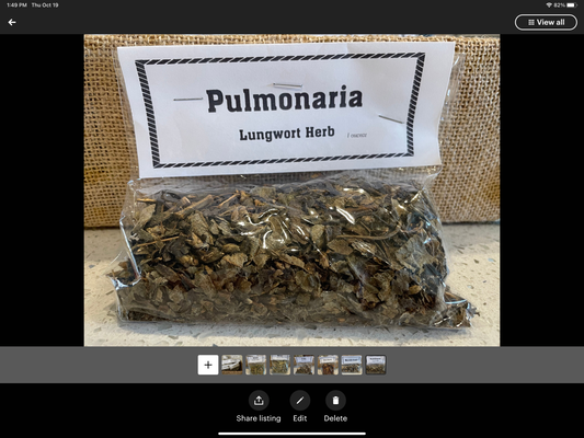 Pulmonaria - Lungwort Herb  ritual Herbs candle making herbs etc
