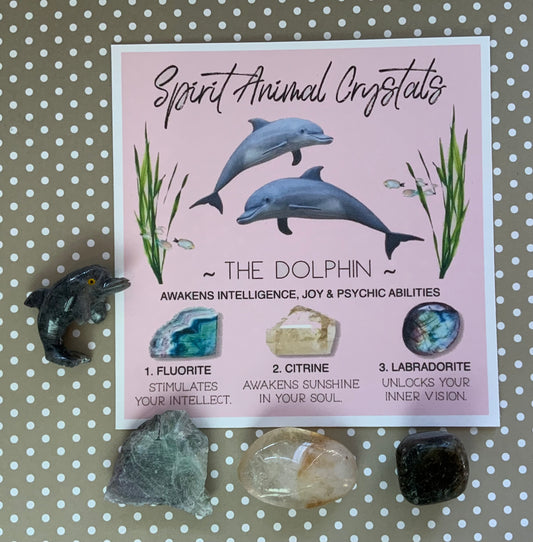 Spirit animal crystal gift set - The Dolphin