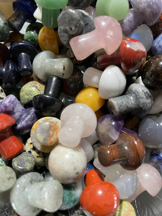 Assorted mushroom crystals