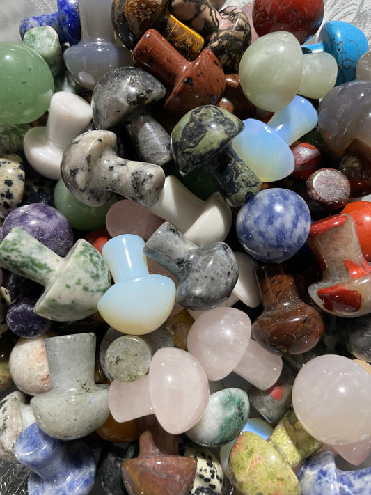 Assorted mushroom crystals