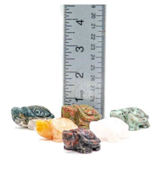 Spirit animal The turtle is the symbol of Longevity