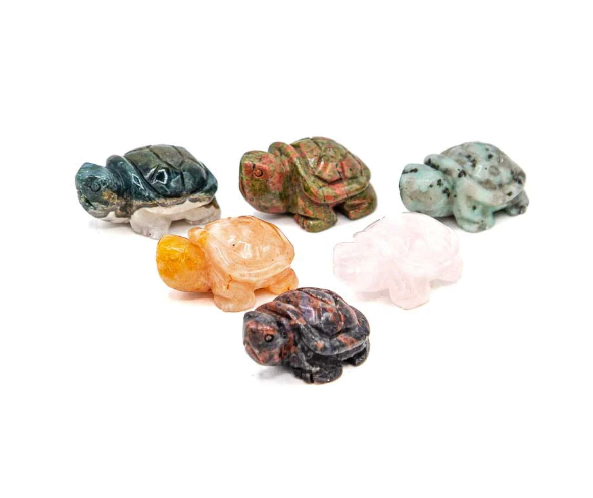 Spirit animal The turtle is the symbol of Longevity