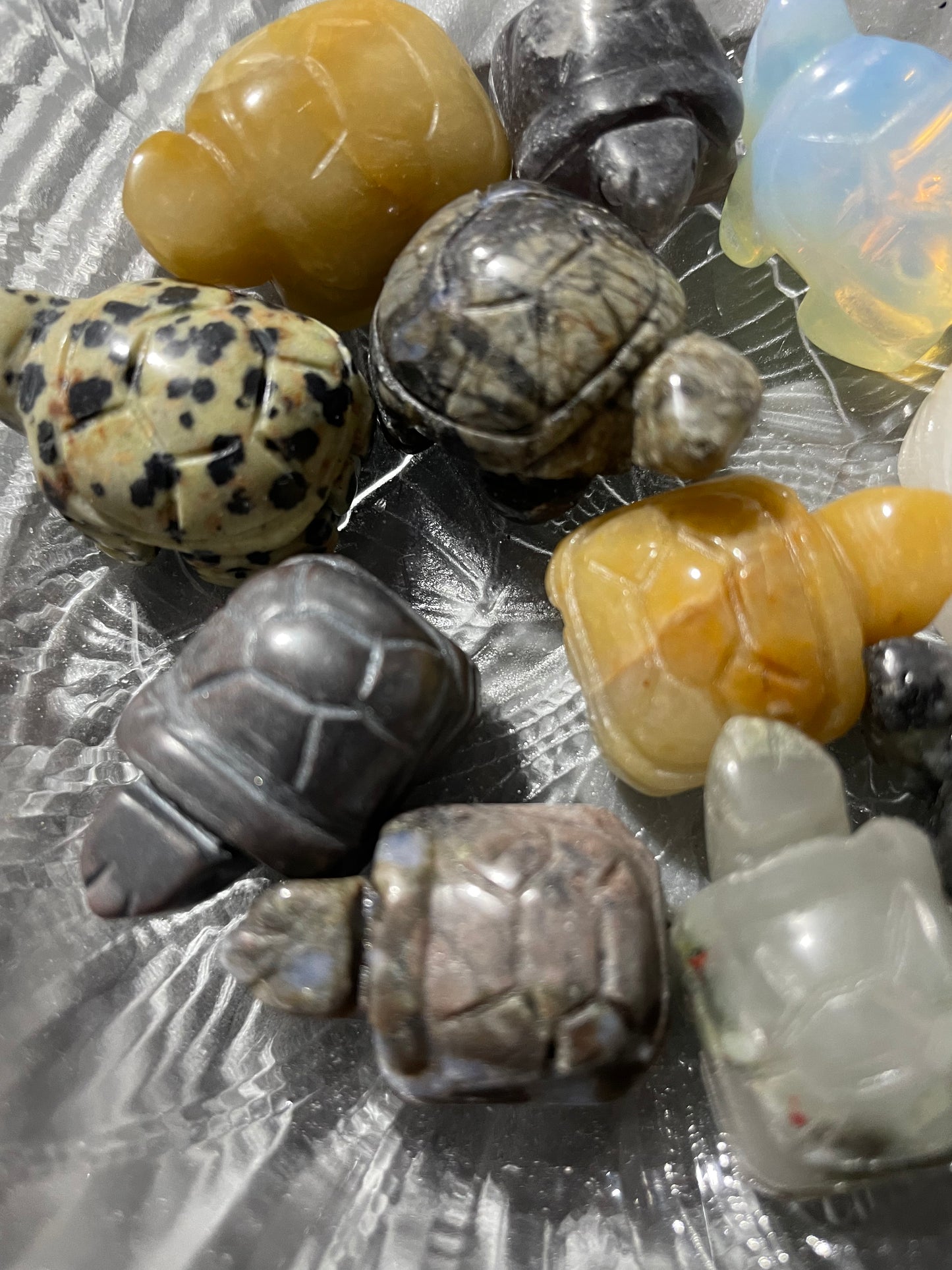 Spirit animal The turtle is the symbol of Longevity