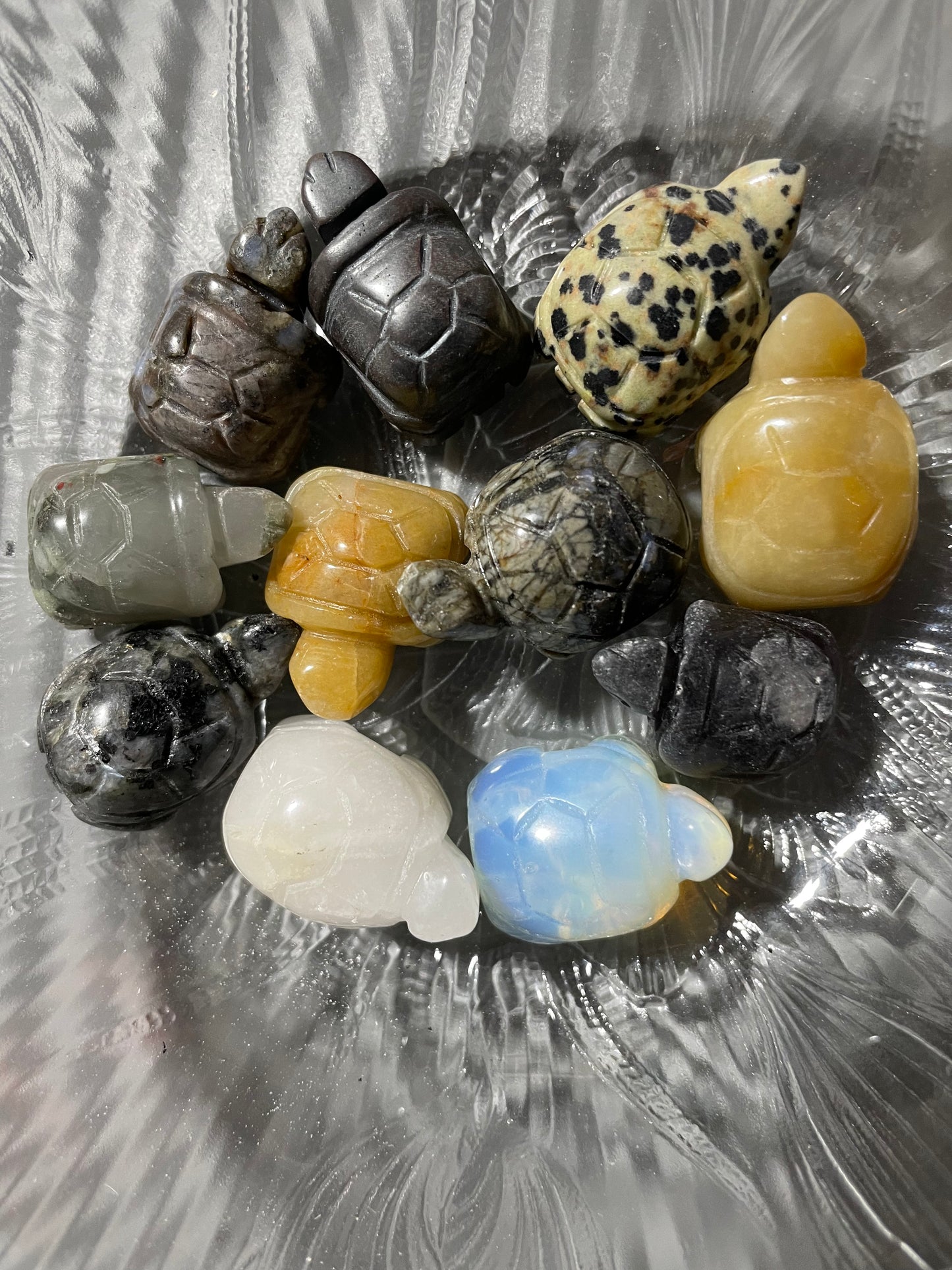 Spirit animal The turtle is the symbol of Longevity