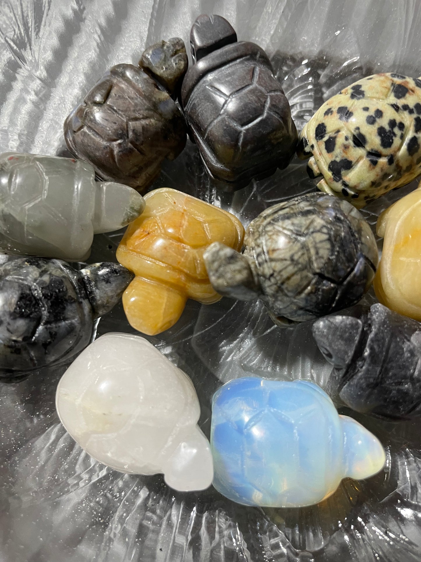 Spirit animal The turtle is the symbol of Longevity