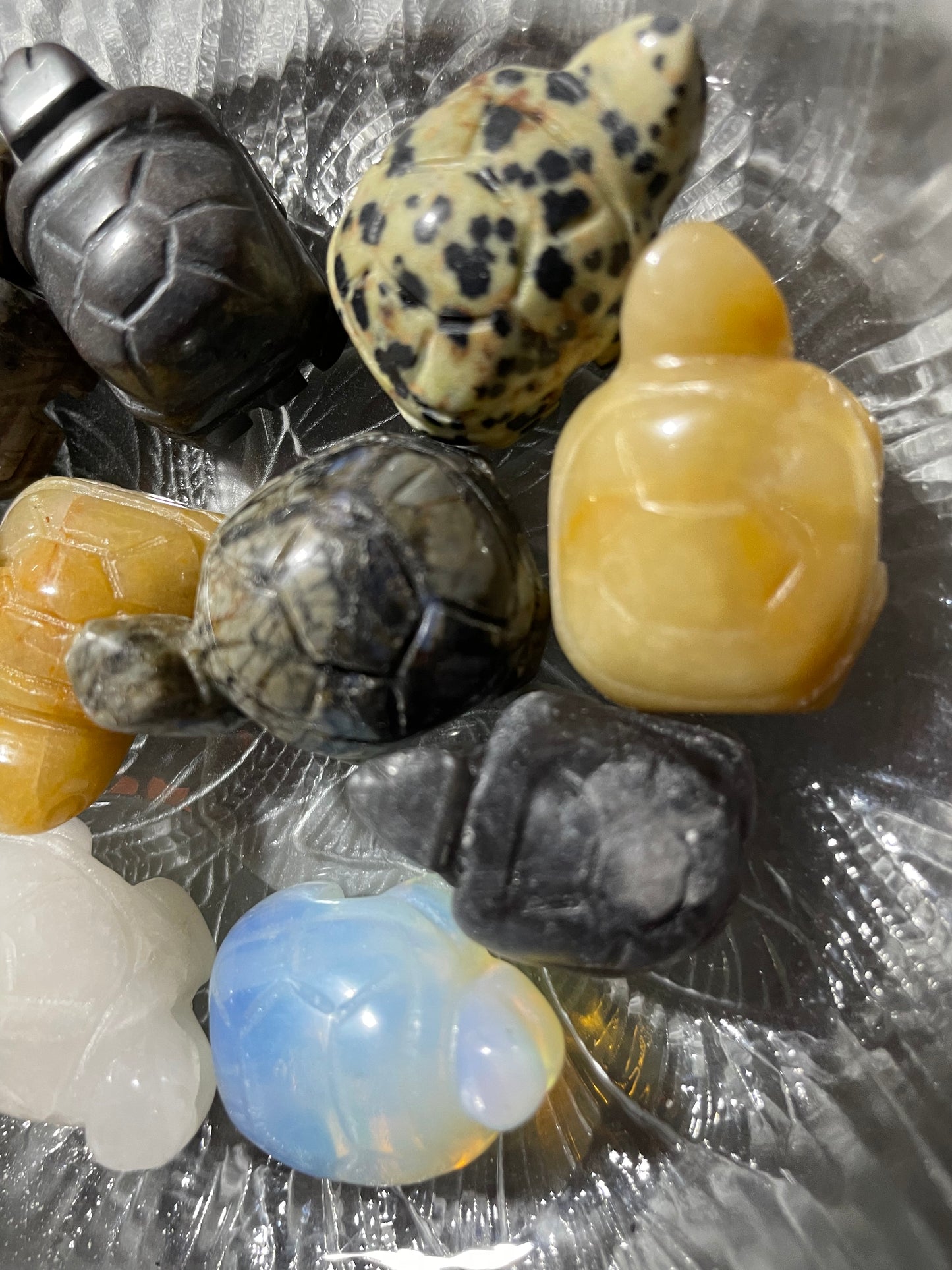 Spirit animal The turtle is the symbol of Longevity