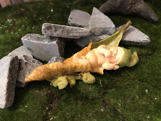 Baby Fairy laying on a leaf with a baby dragon curled up next to her.