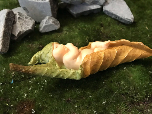 Baby Fairy laying on a leaf with a baby dragon curled up next to her.