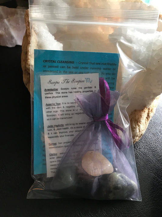 Scorpio the Scorpion Astrology horoscope stones set in pouch crystals set birthday gift zodiac set Scorpio birthday ideas tumbled crystals