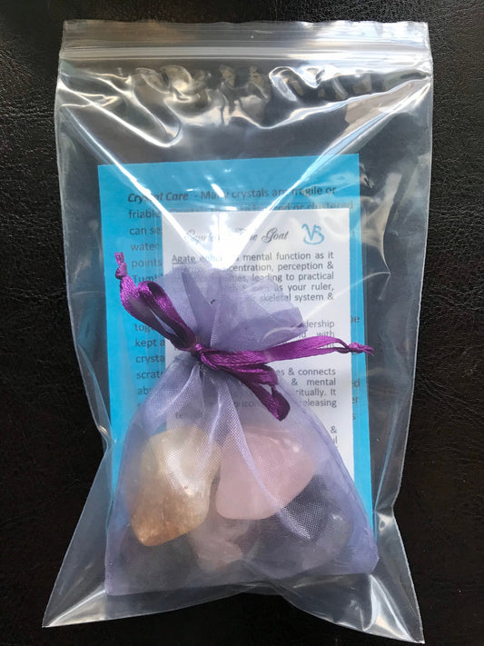 Capricorn the Goat crystal set Astrology horoscope stone set pouch  birthday gift zodiac set Capricorn ideas tumbled polished crystals