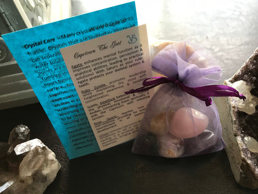 Capricorn the Goat crystal set Astrology horoscope stone set pouch  birthday gift zodiac set Capricorn ideas tumbled polished crystals