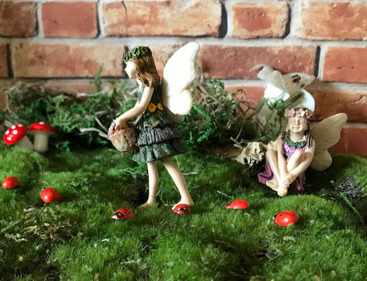 Sweet fairy girl with flowers