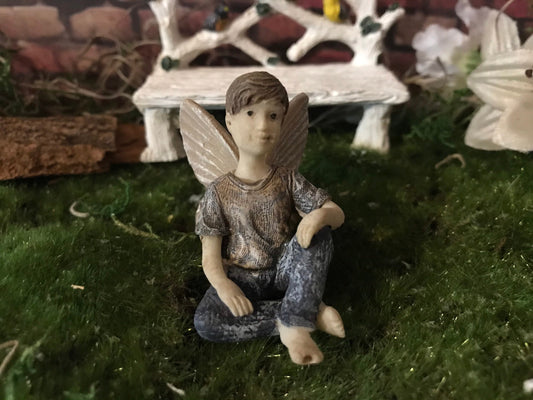 Chillaxling Fairy Boy