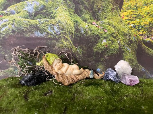 Baby Fairy laying on a leaf with a blue dragonfly looking on.