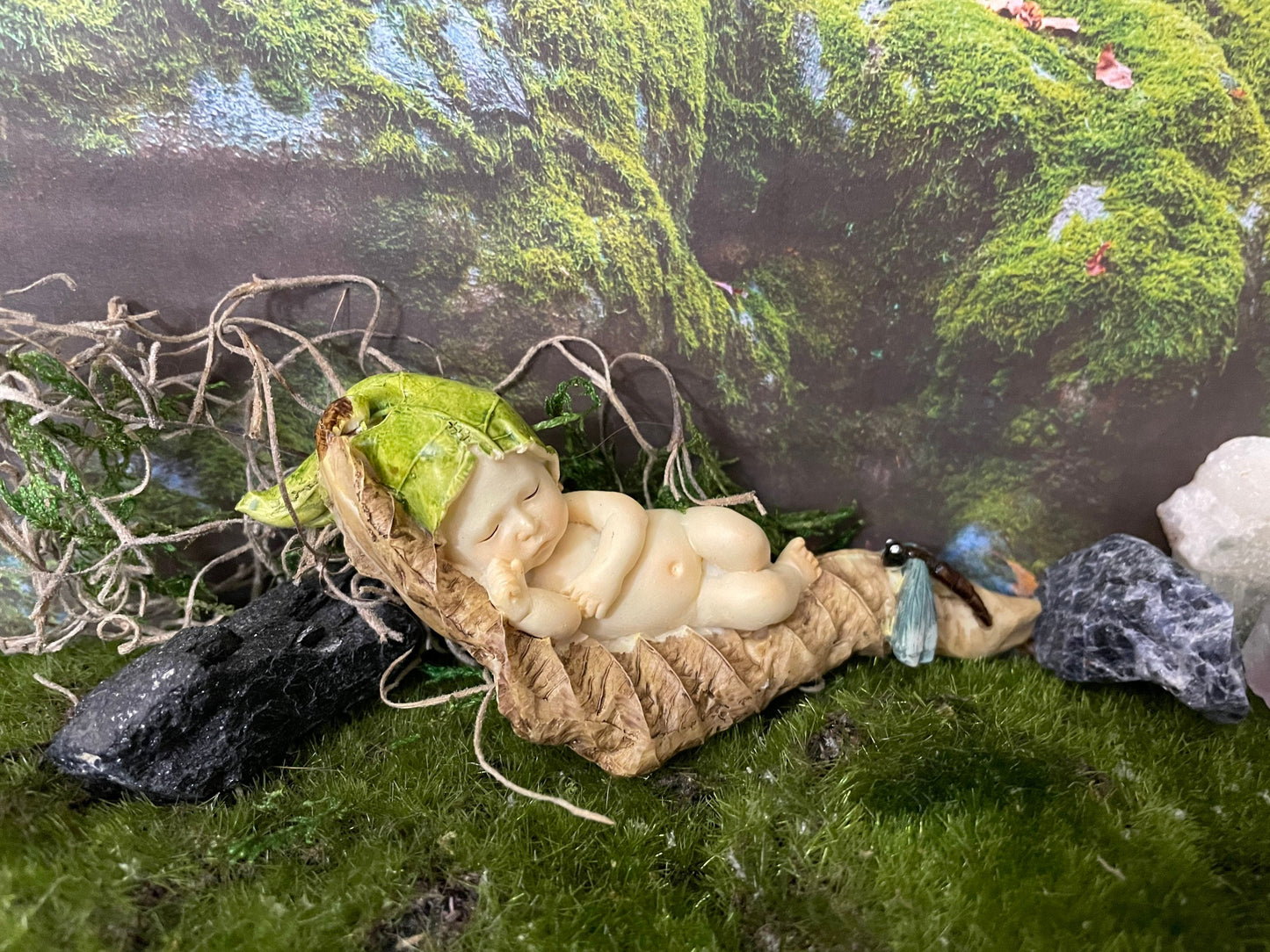 Baby Fairy laying on a leaf with a blue dragonfly looking on.