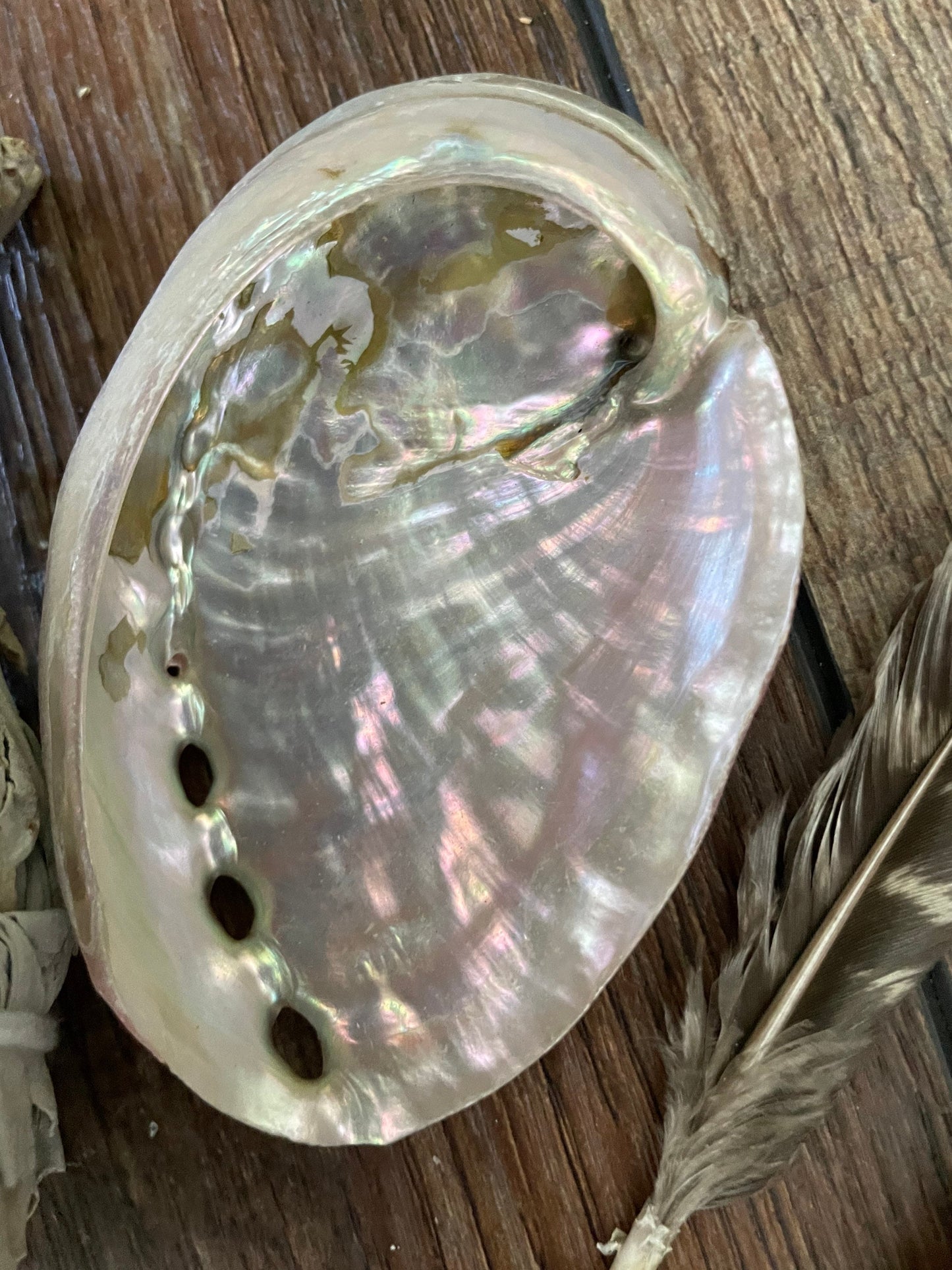 Beginners Four piece smudging set Includes abalone shell feather Palo Santo sage