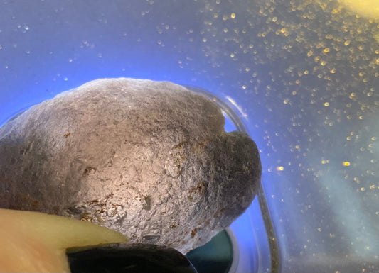 Natural Agni Manitite Pearl of divine Fire natural tektite small lots