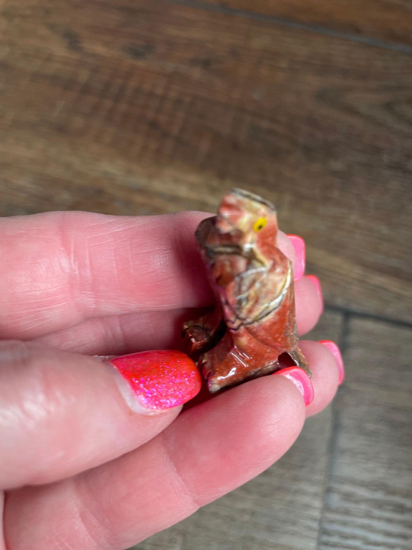 Spirit animal Eagle the majestic bird