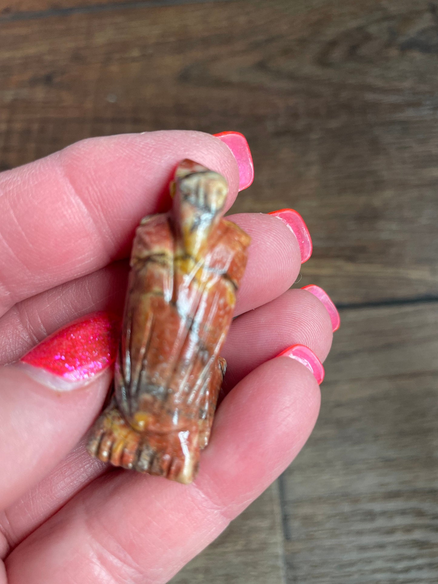 Spirit animal Eagle the majestic bird