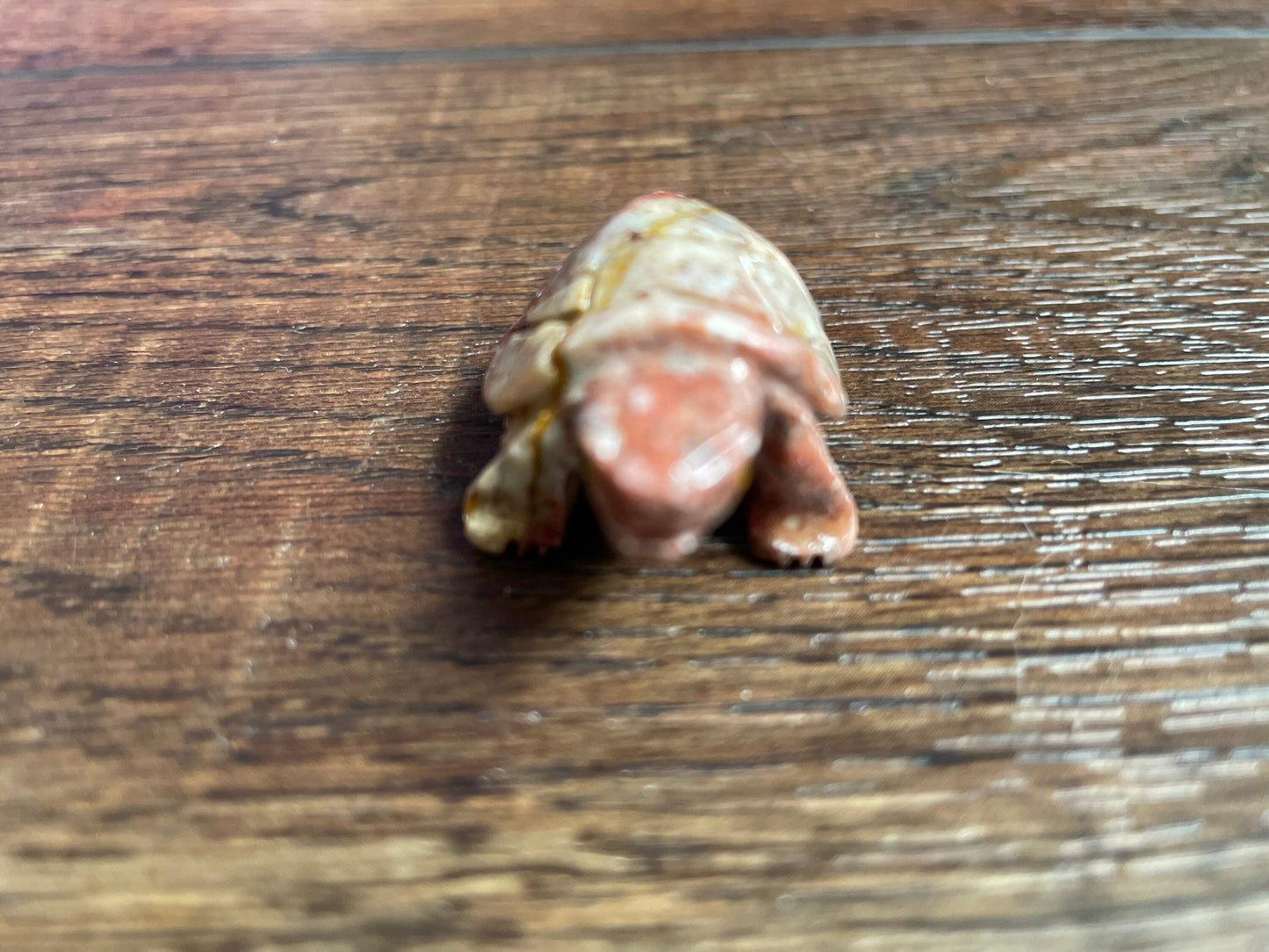 Spirit animal The turtle is the symbol of Longevity