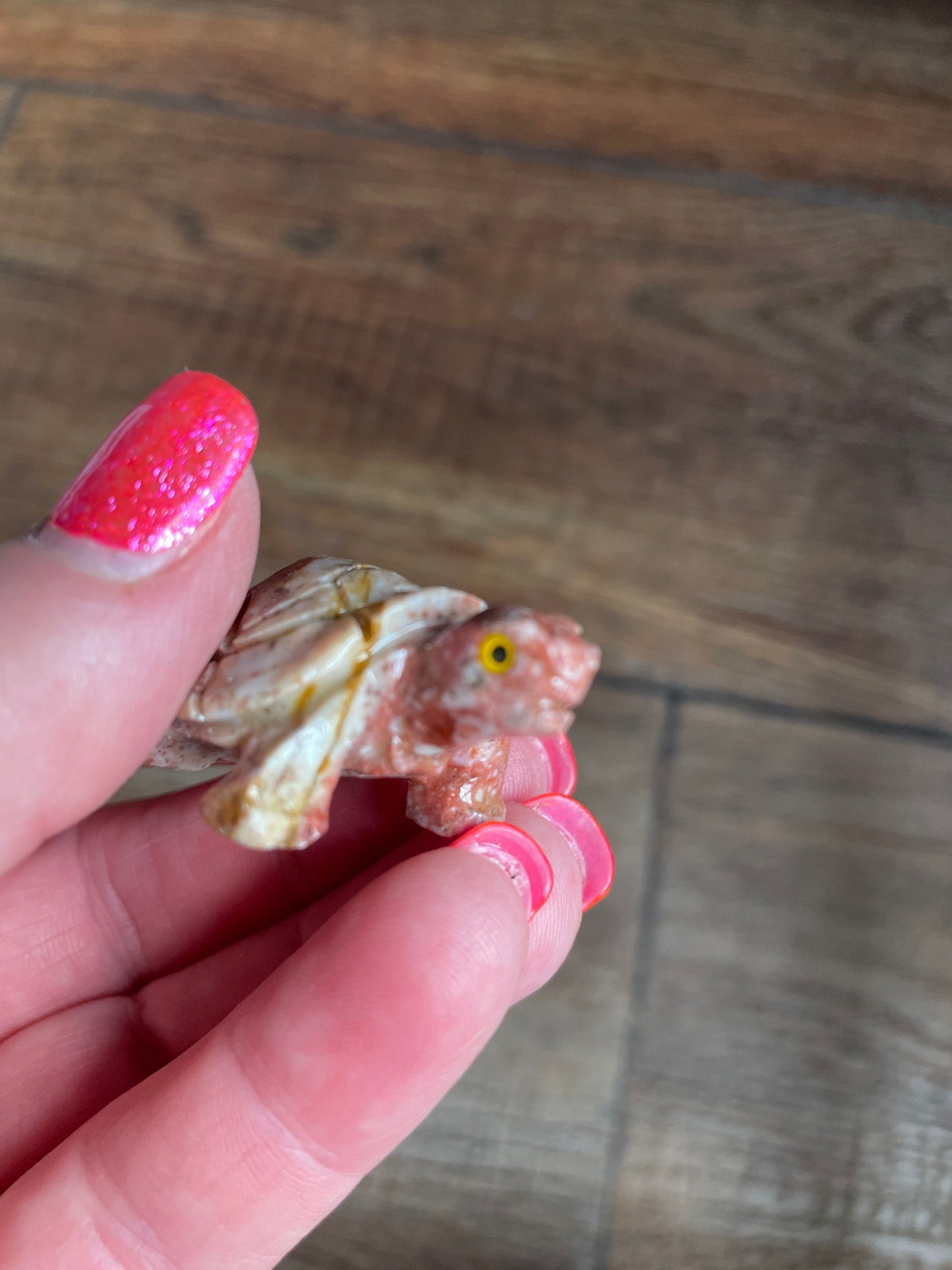 Spirit animal The turtle is the symbol of Longevity