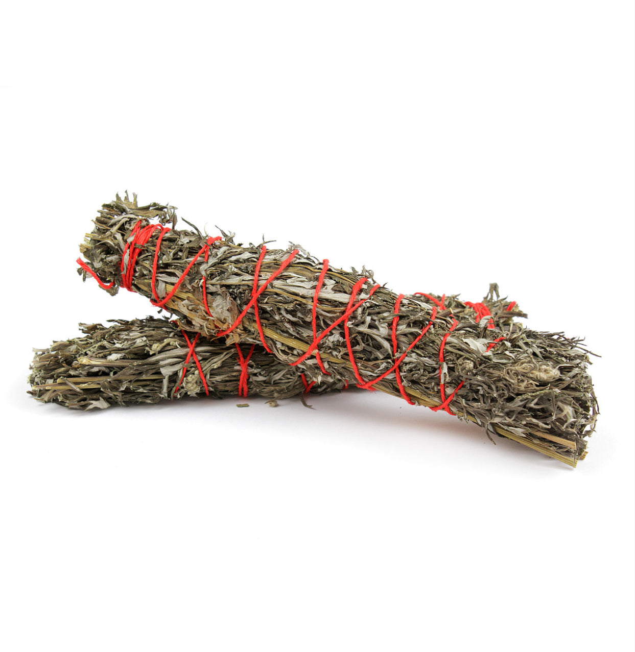 Mugwort Bundle