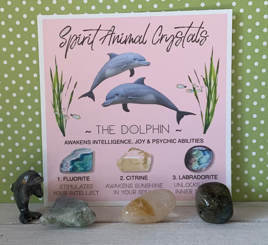 Spirit animal crystal gift set - The Dolphin
