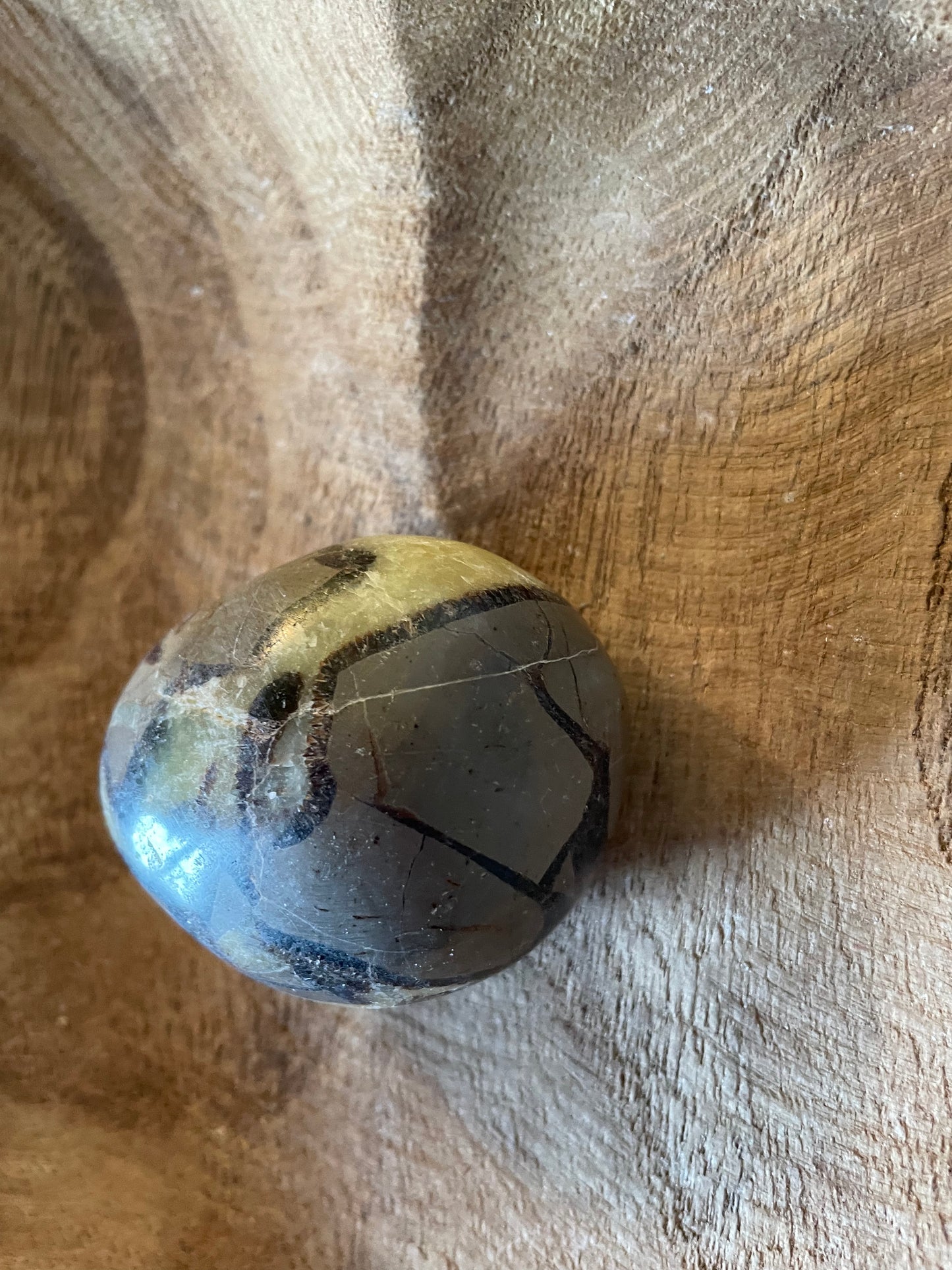 Dragon stone Septarian Palm stone 5.4 ounce Dragonstone Raise your vibration and find your own wings.