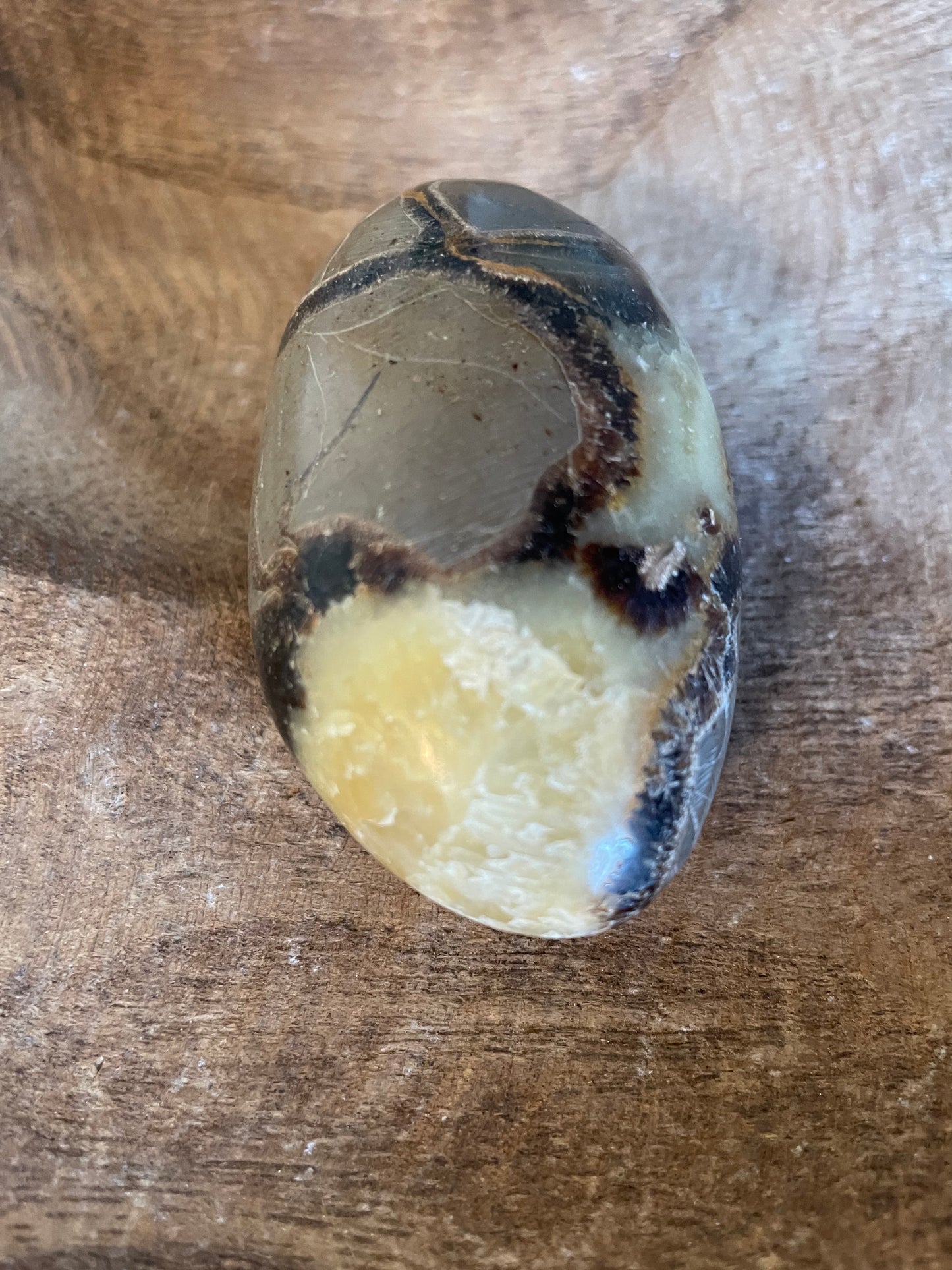 Dragon stone Septarian Palm stone 3.9 ounce Dragonstone Means Great Power  Raise your vibration and find your own wings.