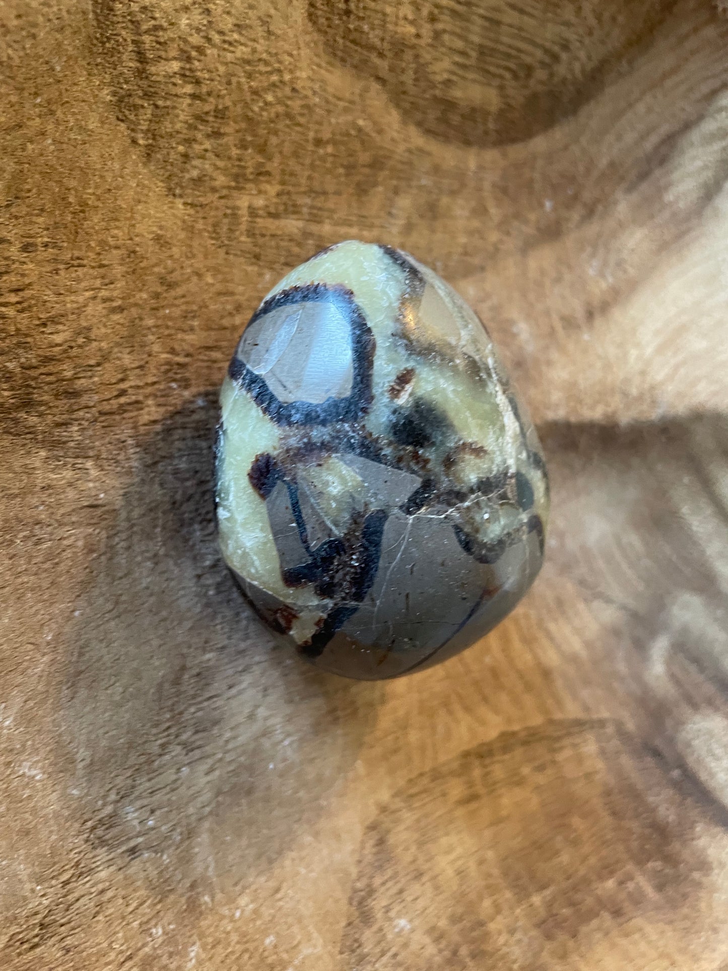 Dragon stone Septarian Palm stone 5.4 ounce Dragonstone Raise your vibration and find your own wings.