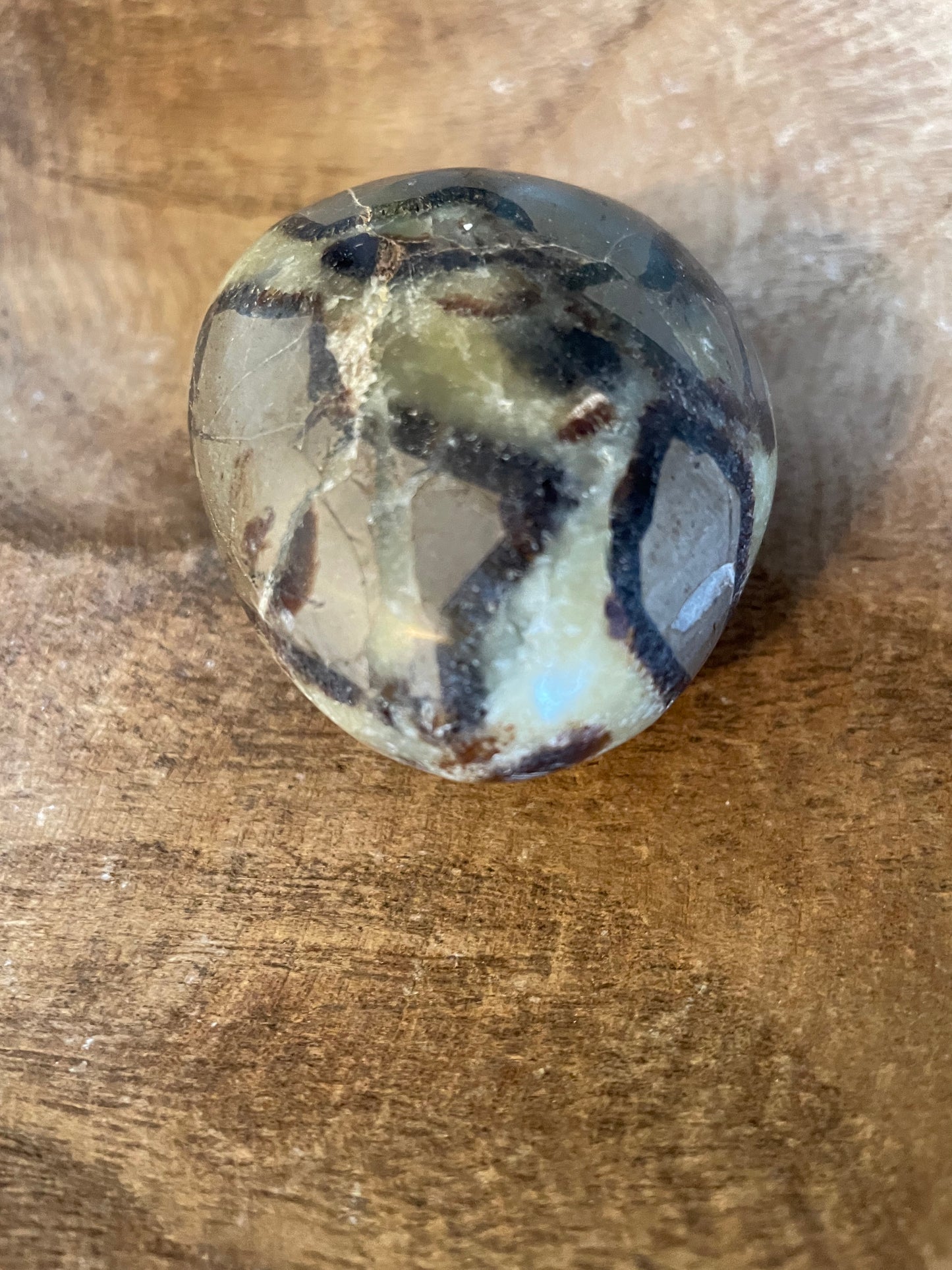 Dragon stone Septarian Palm stone 5.4 ounce Dragonstone Raise your vibration and find your own wings.