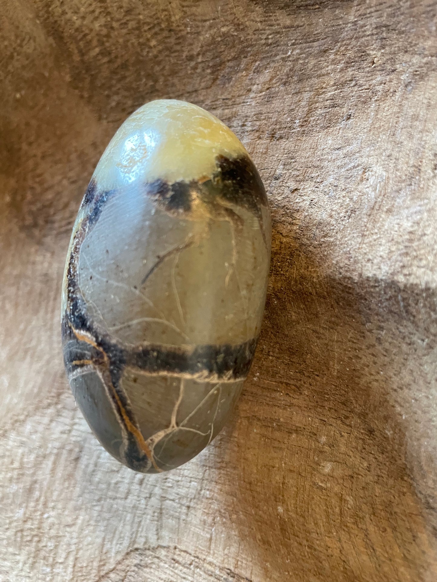 Dragon stone Septarian Palm stone 3.9 ounce Dragonstone Means Great Power  Raise your vibration and find your own wings.