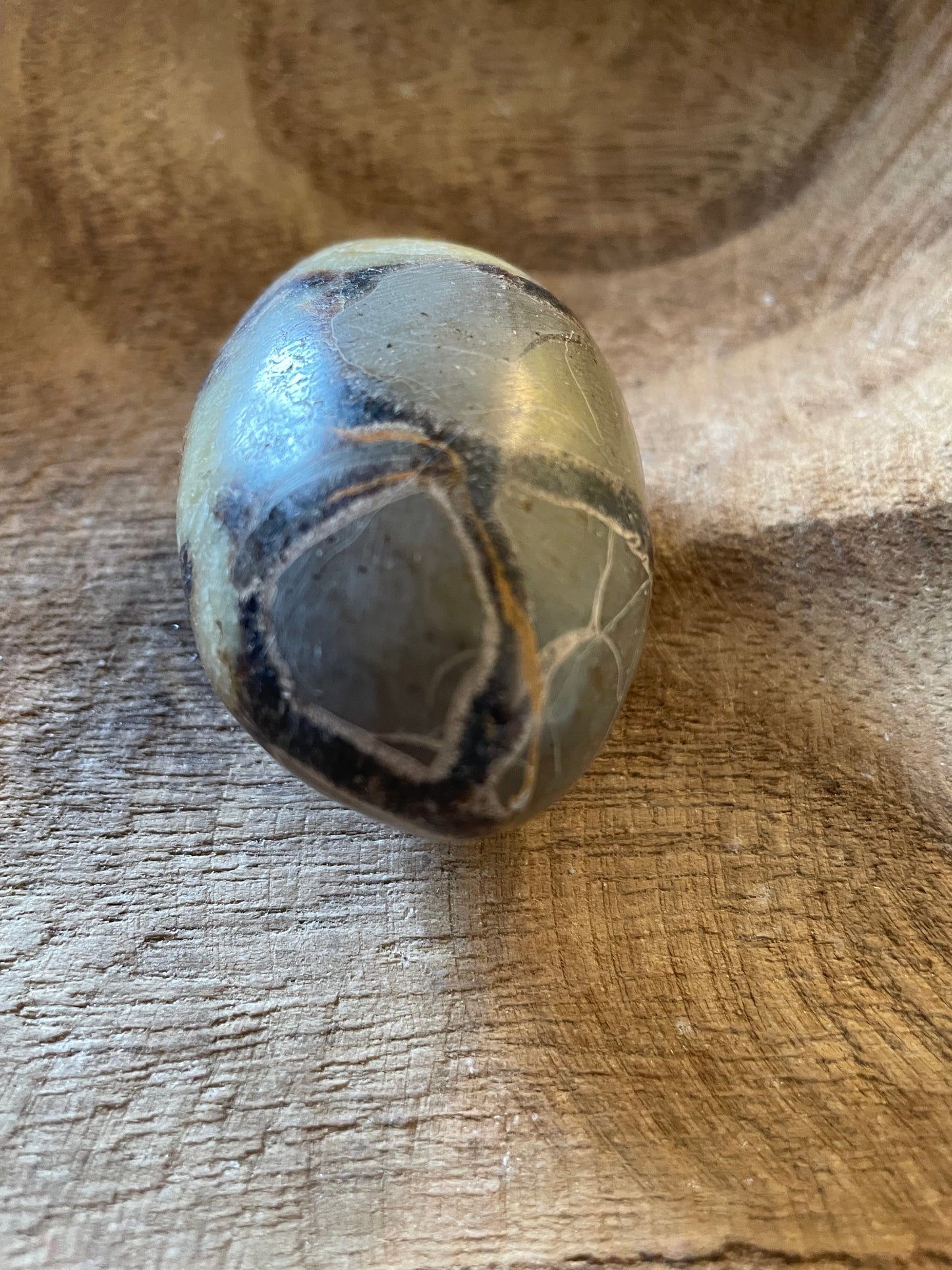 Dragon stone Septarian Palm stone 3.9 ounce Dragonstone Means Great Power  Raise your vibration and find your own wings.