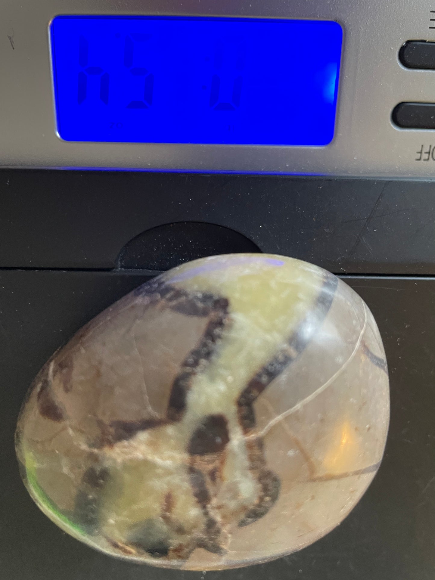 Dragon stone Septarian Palm stone 5.4 ounce Dragonstone Raise your vibration and find your own wings.