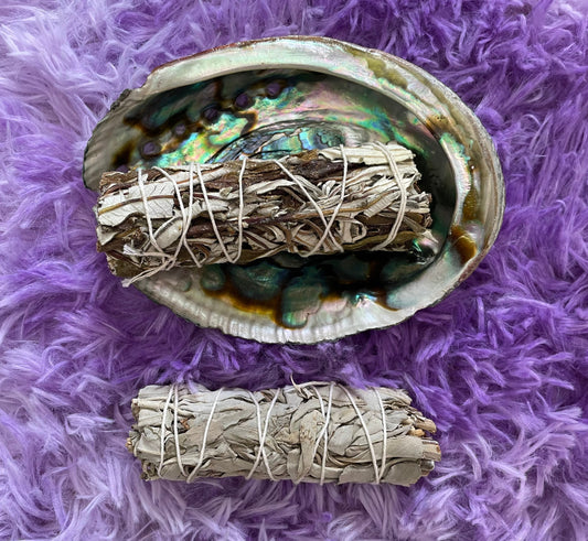 Large abalone shell smudging stick beautiful shells are perfect for smudging, burning resin, displaying crystals