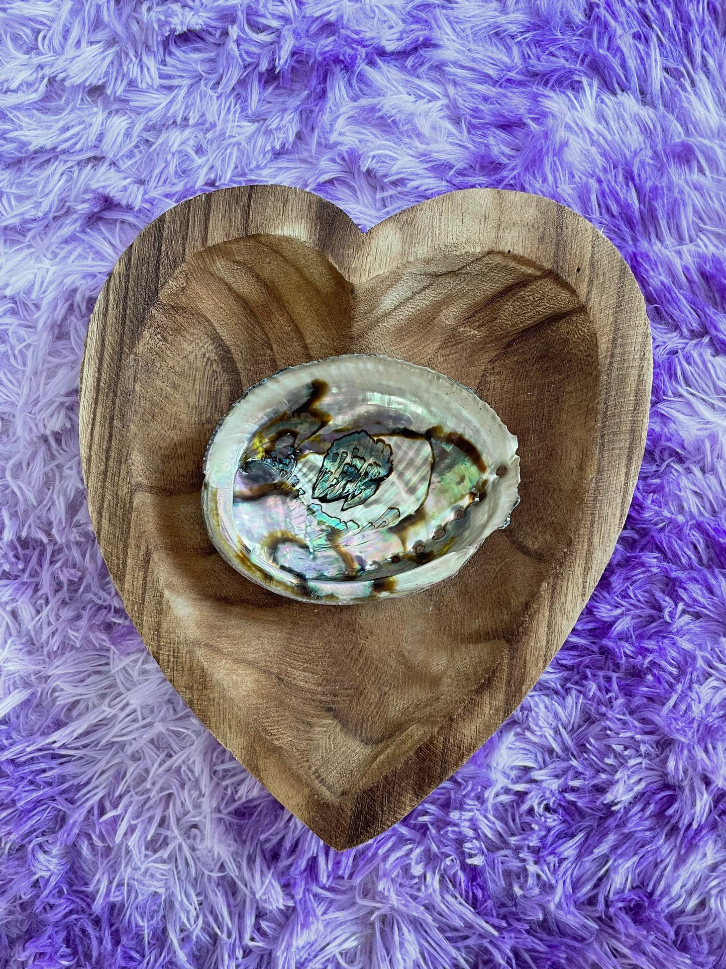 Large abalone shell smudging stick beautiful shells are perfect for smudging, burning resin, displaying crystals