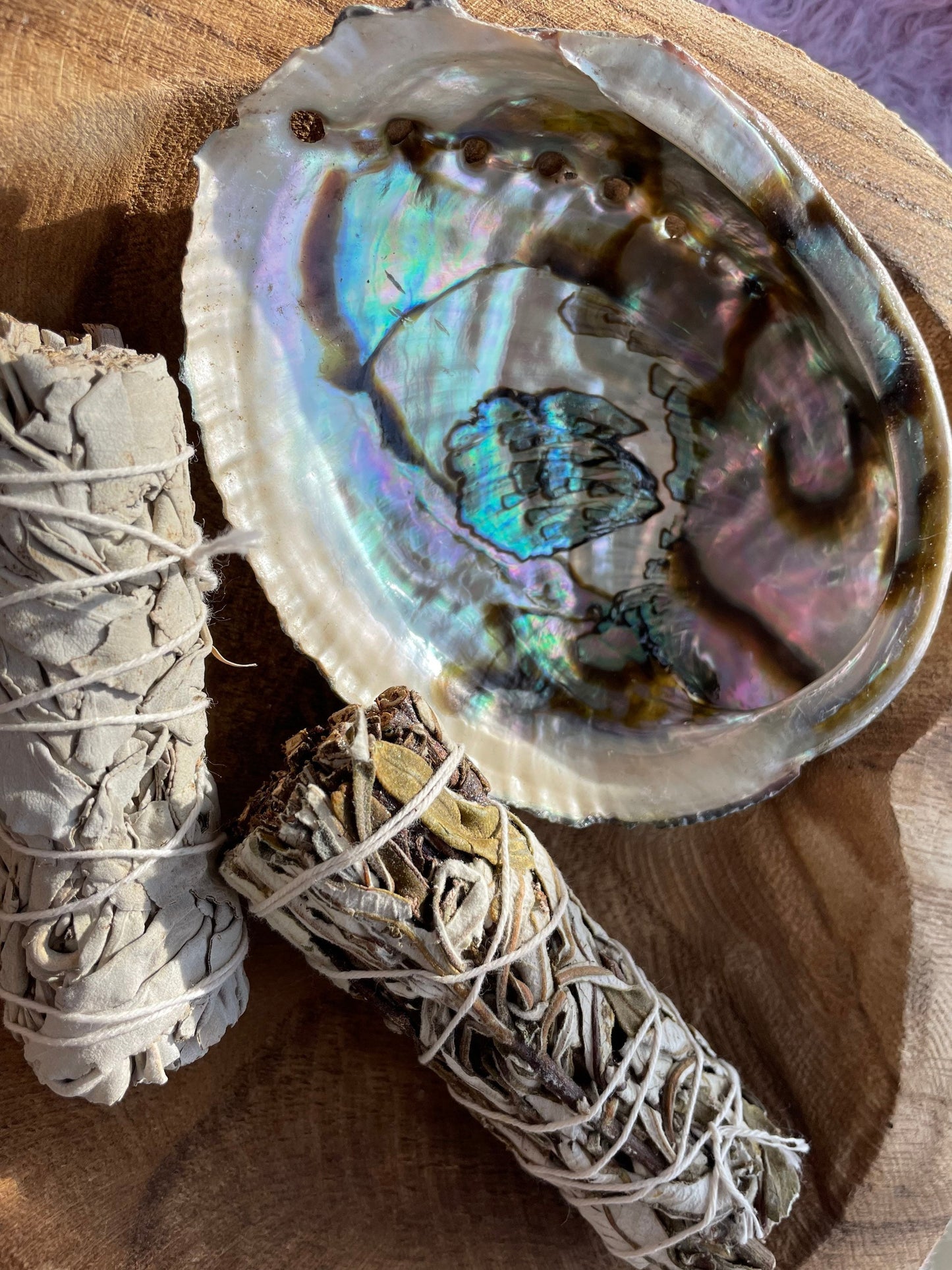 Large abalone shell smudging stick beautiful shells are perfect for smudging, burning resin, displaying crystals