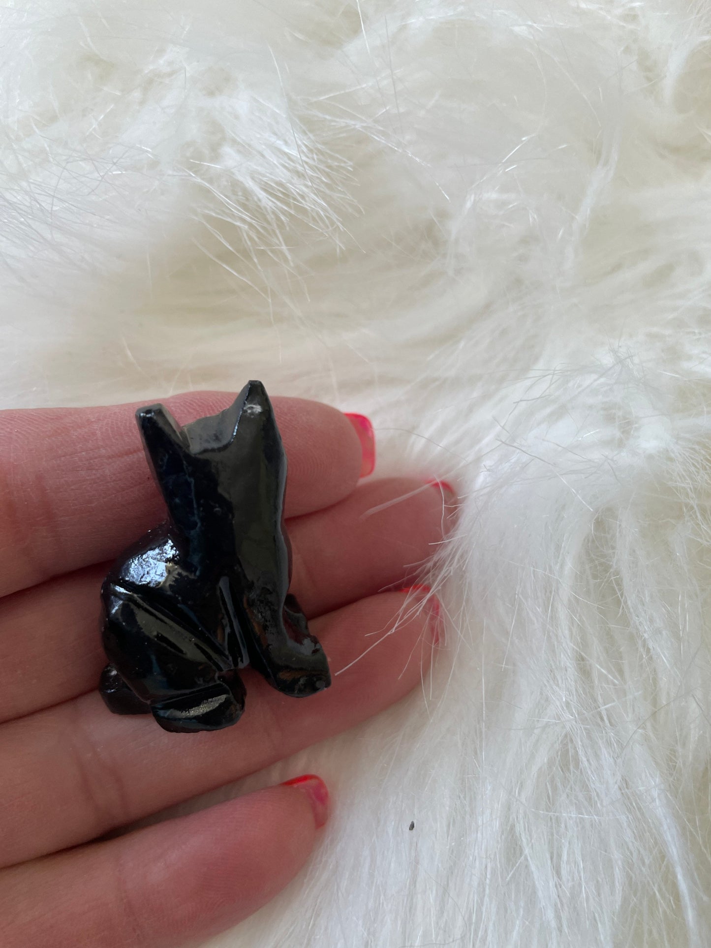 Black Onyx Spirit Animal Black Cat meaning intuition