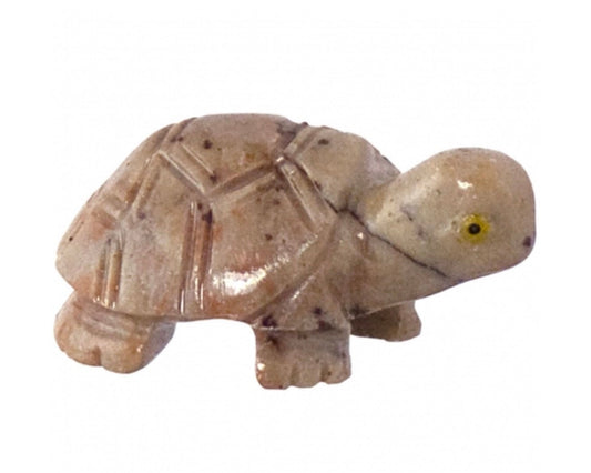 Spirit animal The turtle is the symbol of Longevity